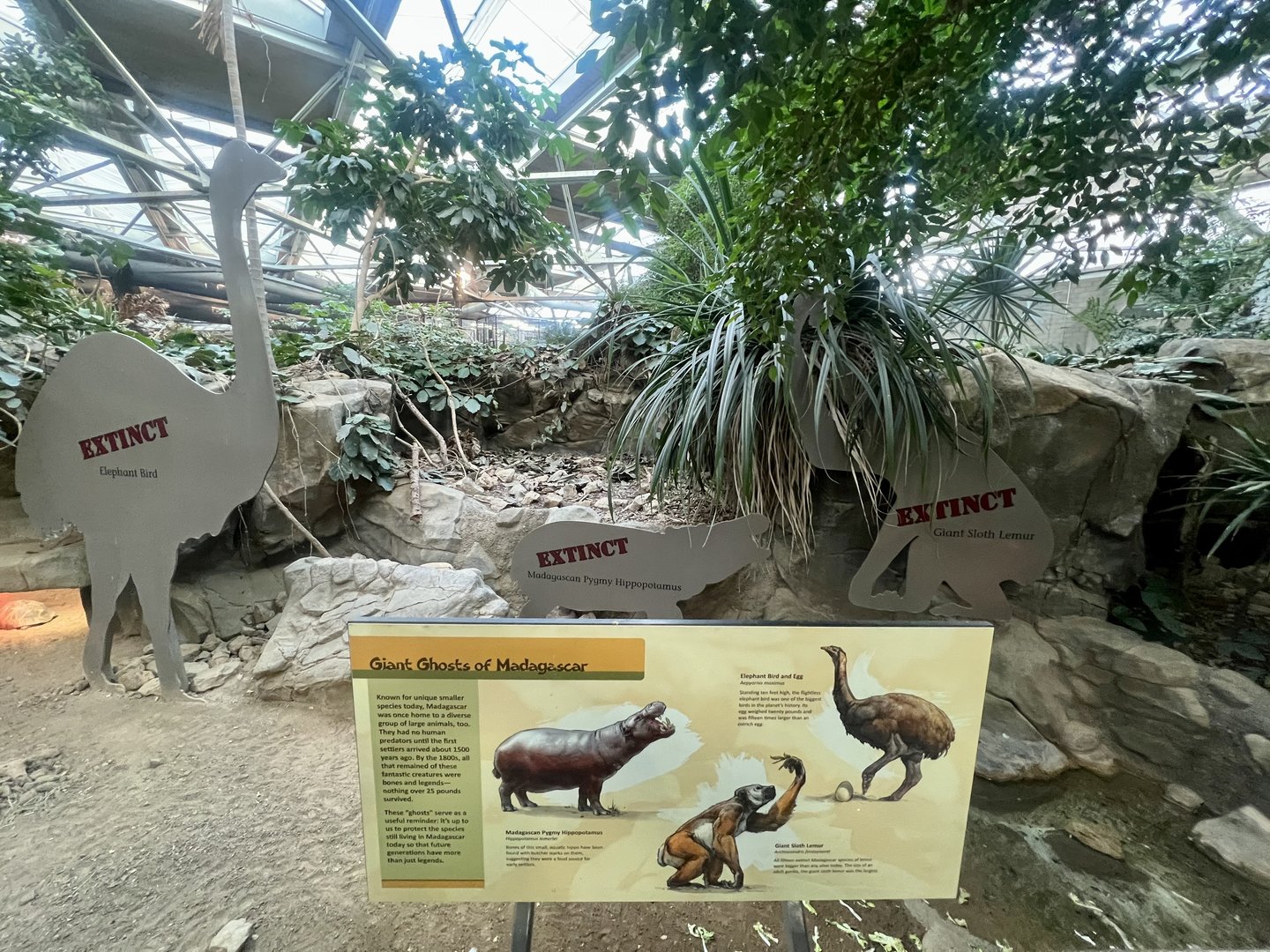 Madagascar’s lost megafauna