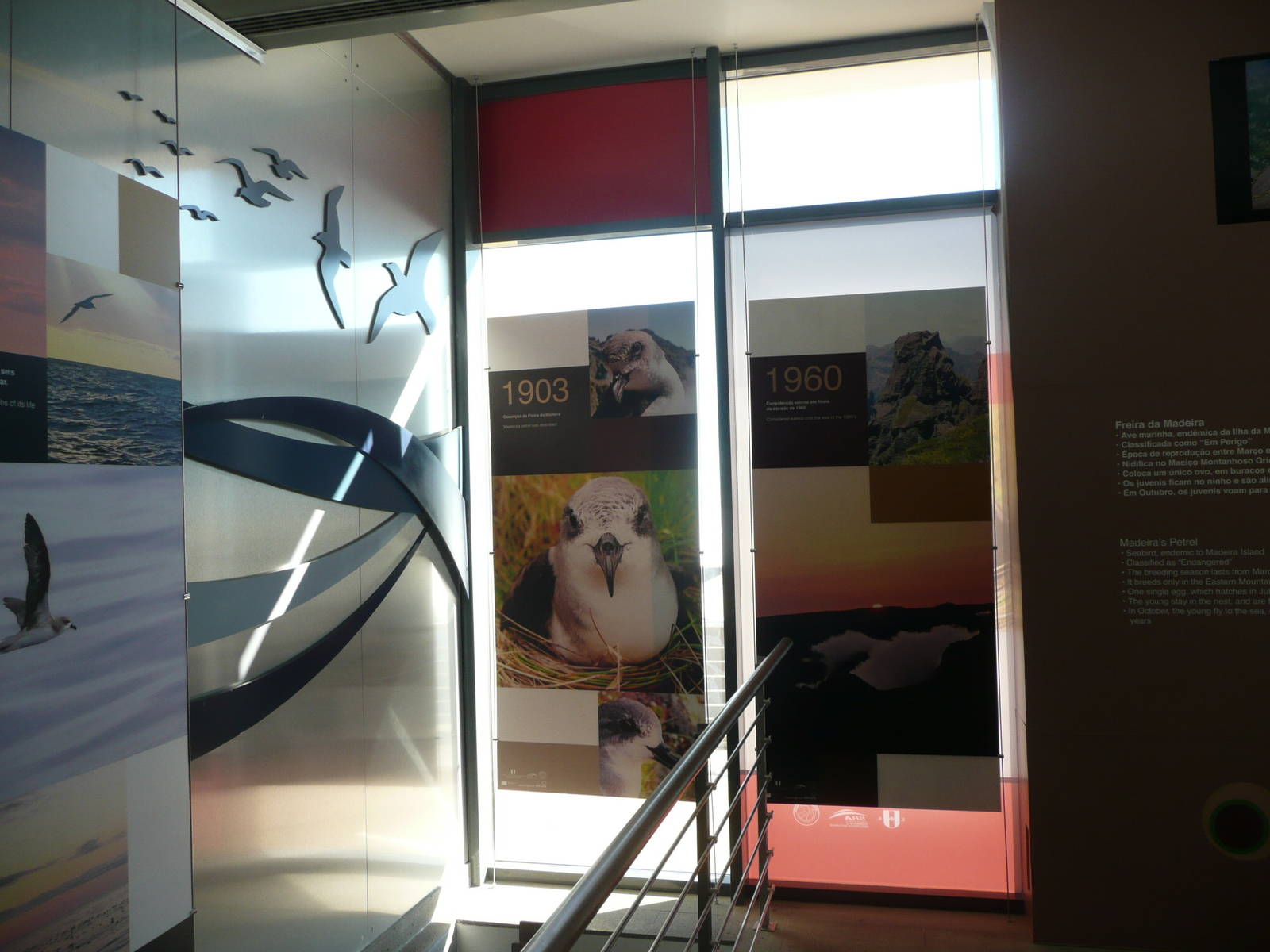 Madeira Petrel Visitor Centre