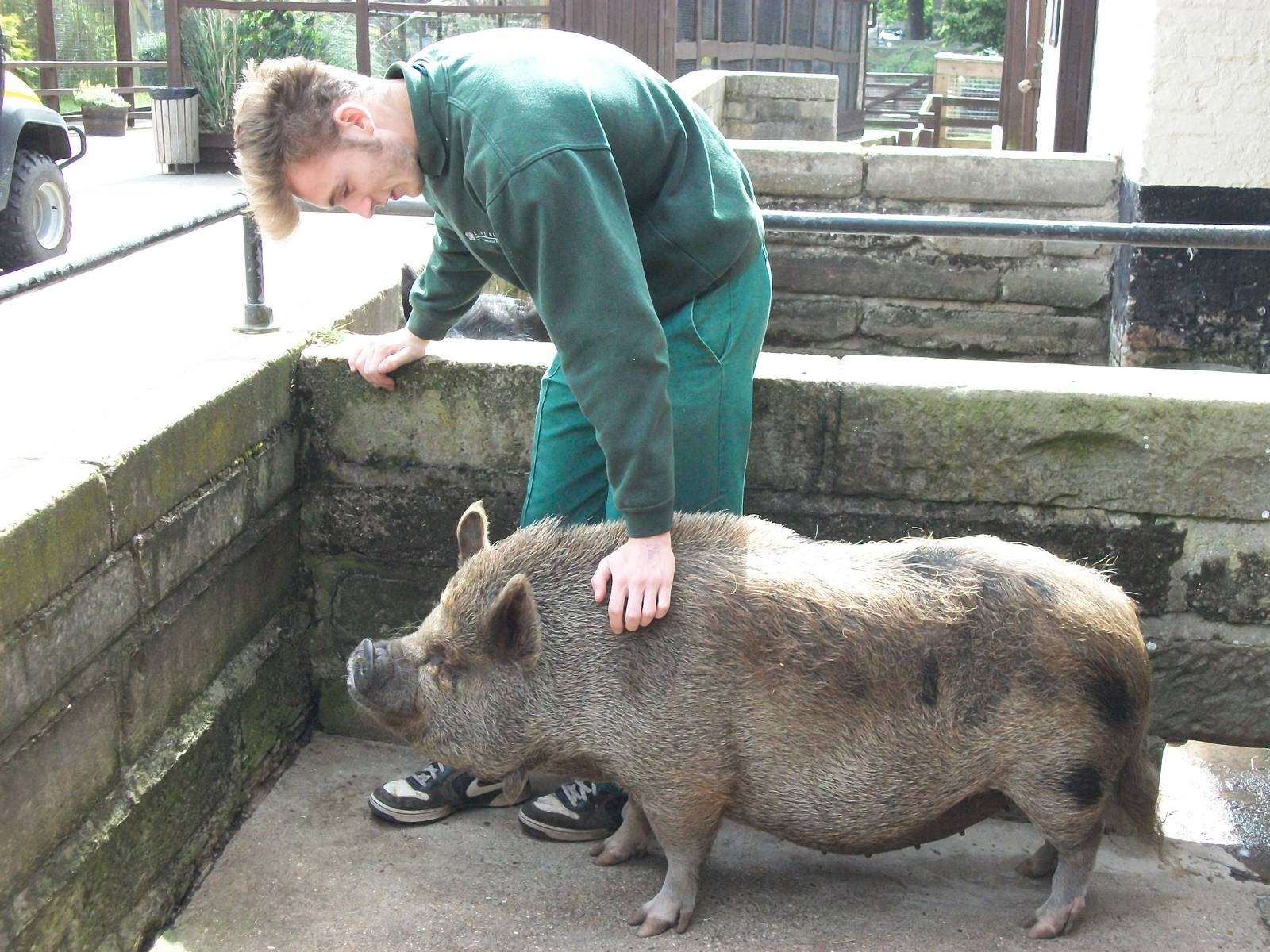 madgeandshane's final day at the zoo before heading for Knowsley, 28th June