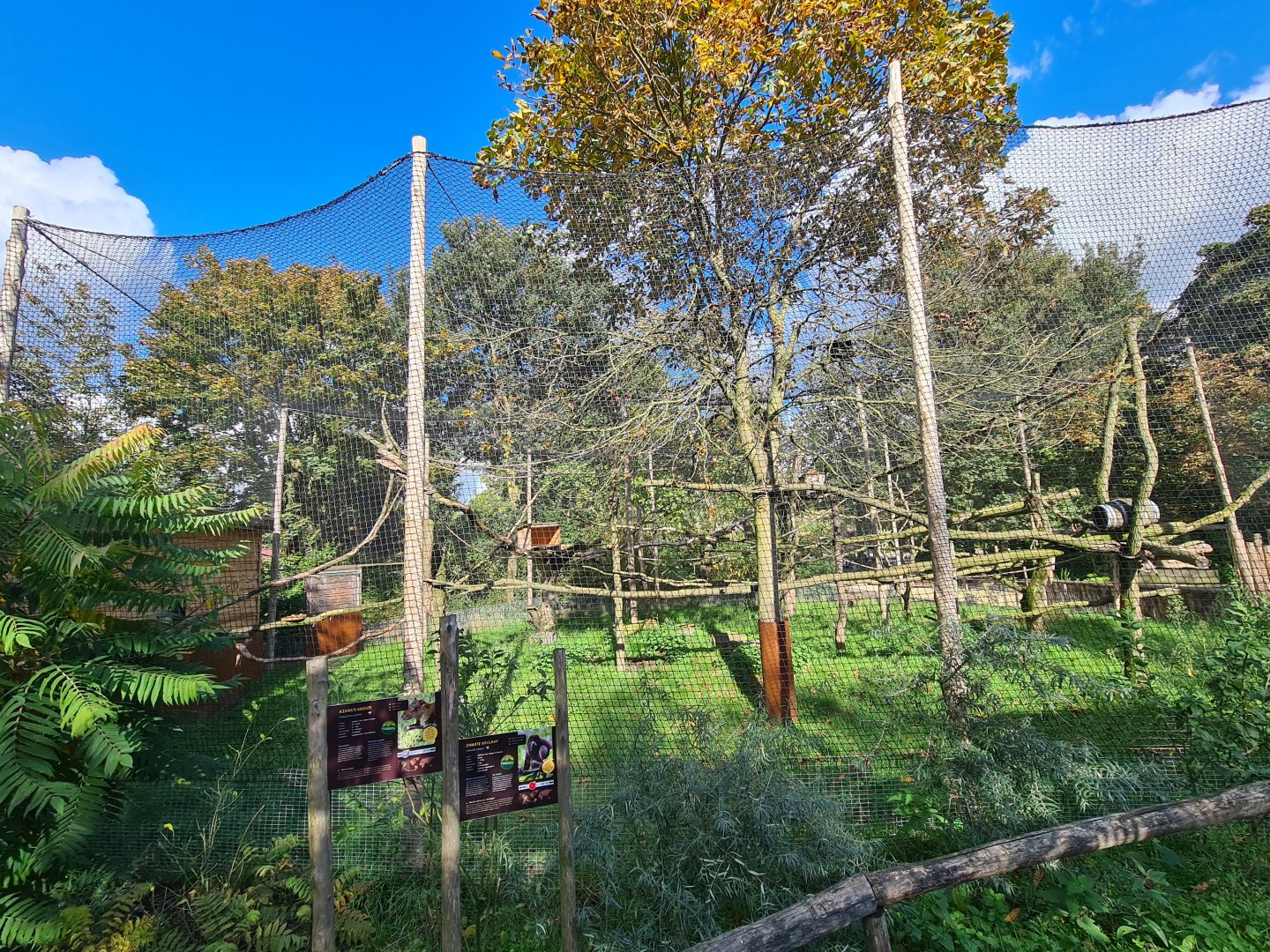 Madidi - Black-and-gold howler monkey aviary