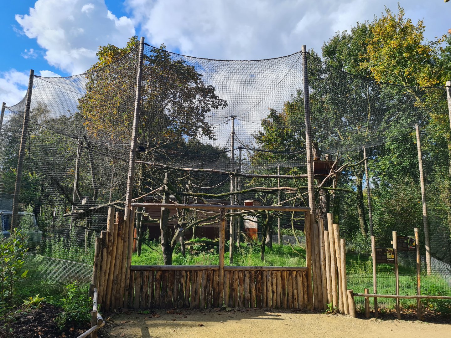 Madidi - Black-and-gold howler monkey aviary