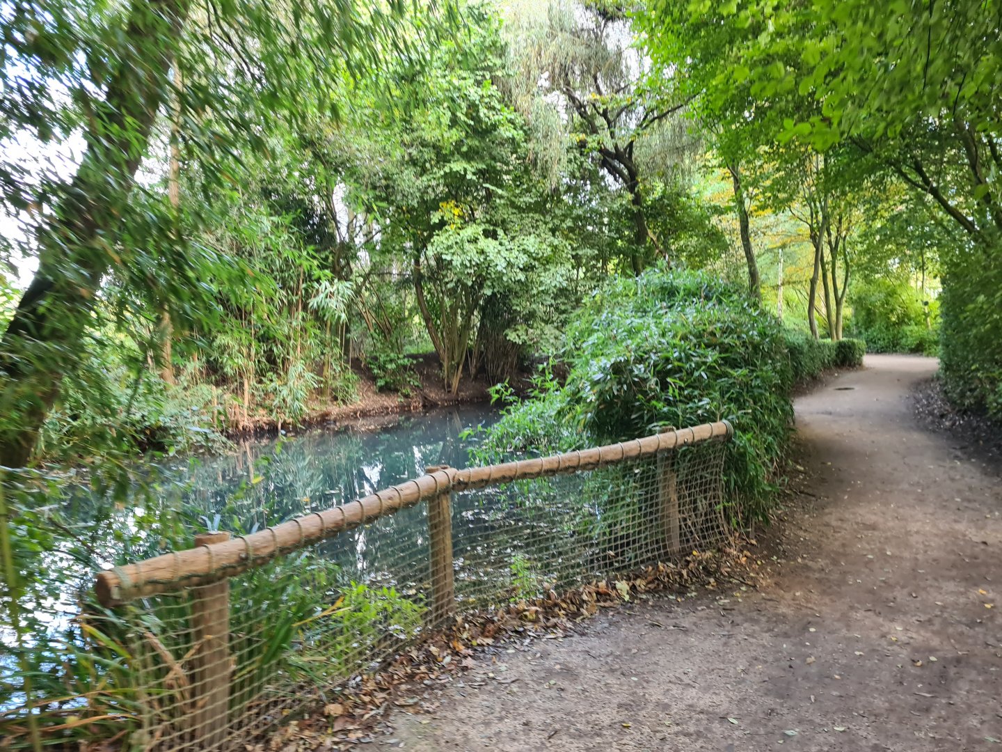 Madidi - Bolivian squirrel monkey and Dalmatian pelican habitat