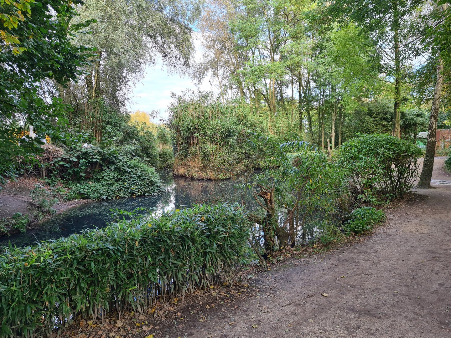 Madidi - Bolivian squirrel monkey and Dalmatian pelican habitat