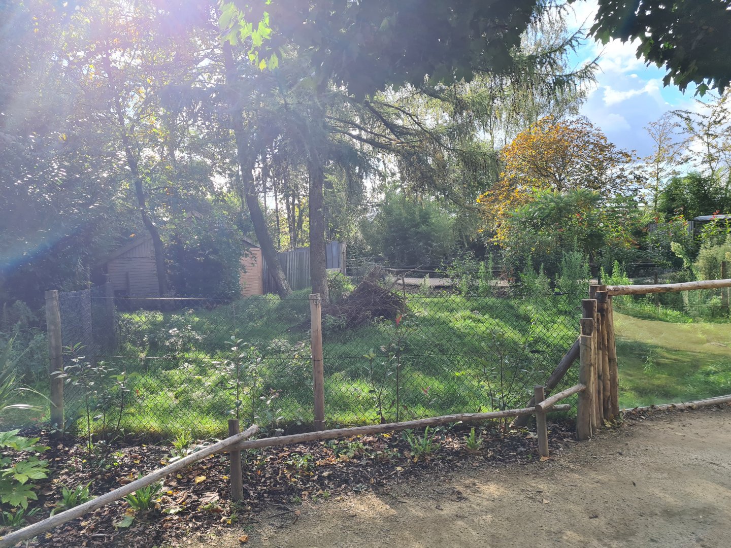 Madidi - Bush dog habitat