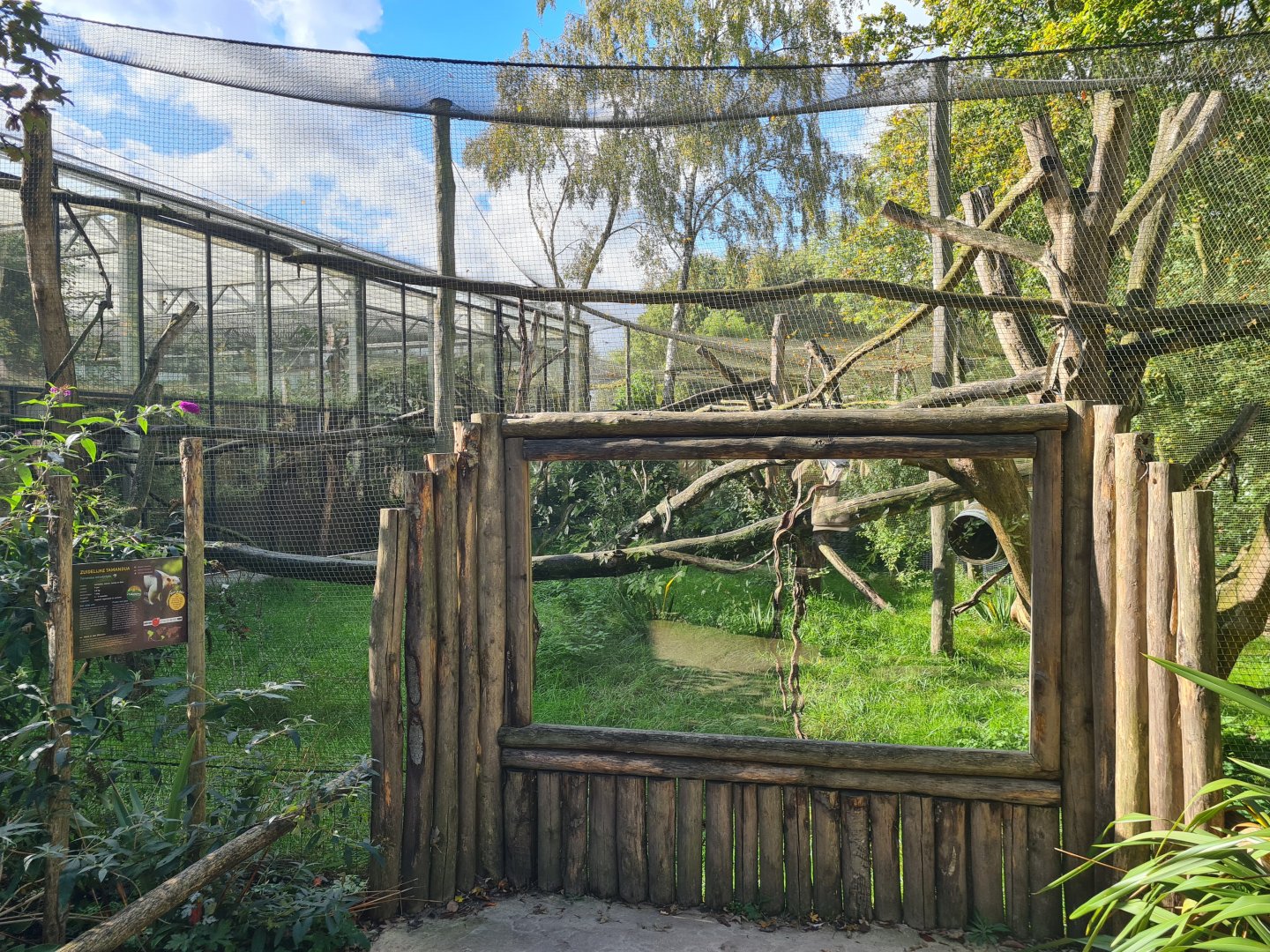 Madidi - Coppery titi and Paraguayan tamandua outdoor habitat