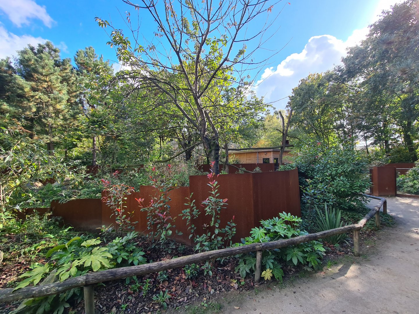 Madidi - Crab-eating raccoon habitat