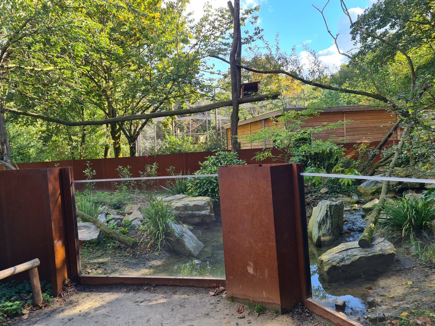 Madidi - Crab-eating raccoon habitat