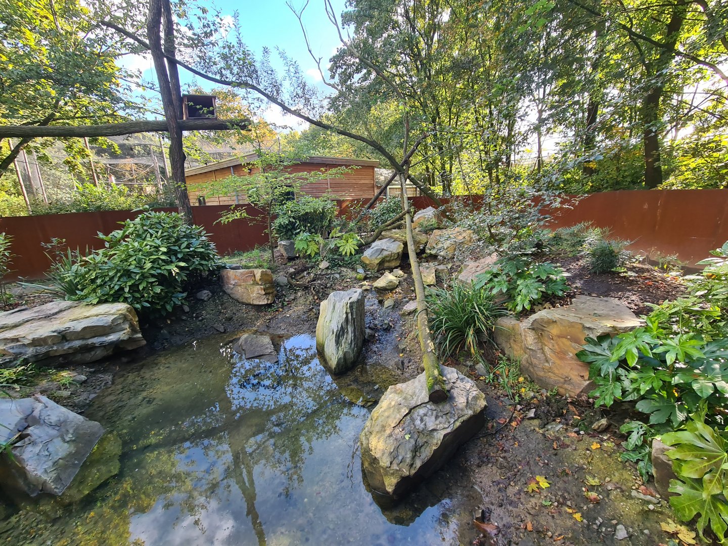 Madidi - Crab-eating raccoon habitat