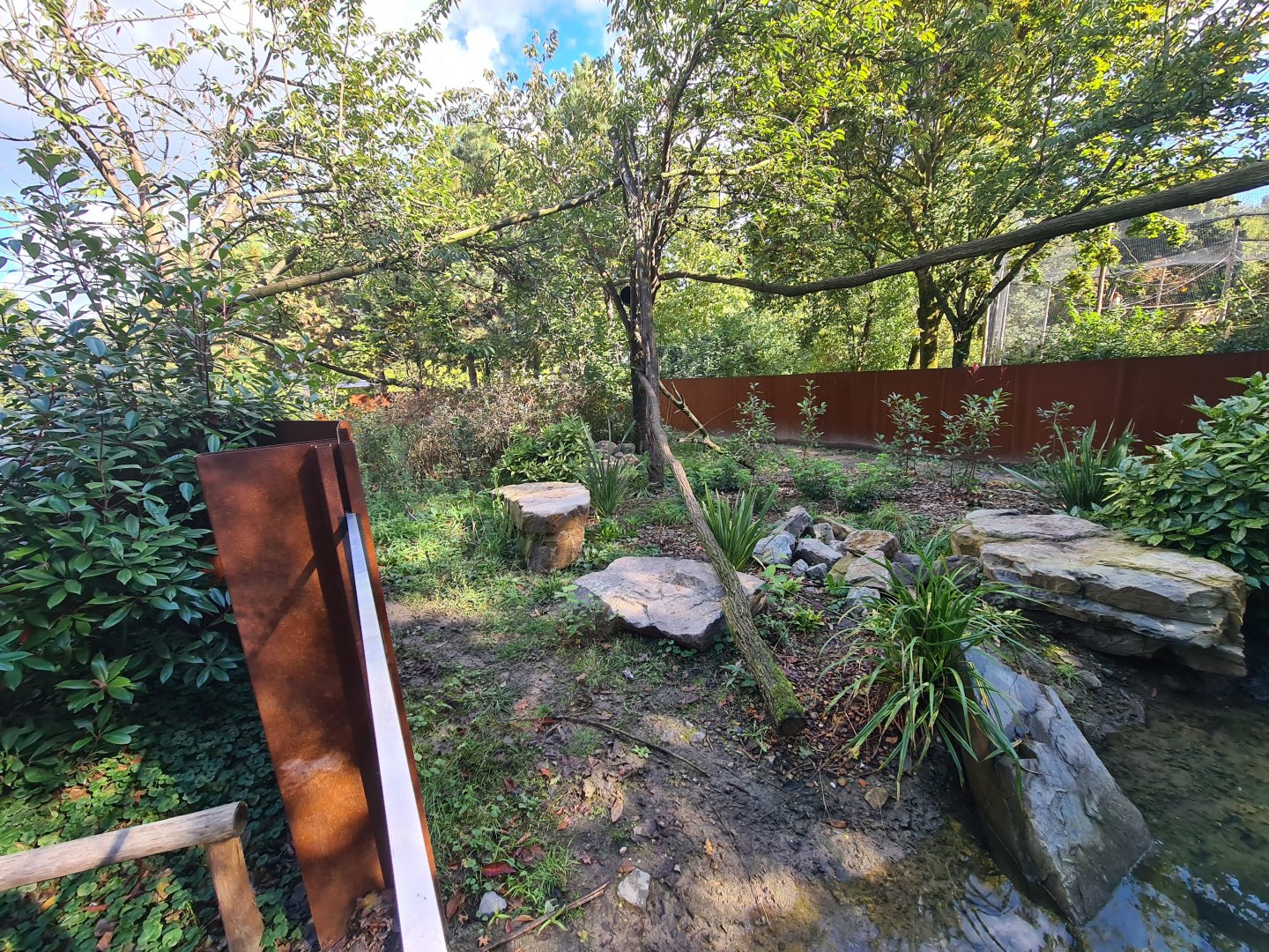 Madidi - Crab-eating raccoon habitat