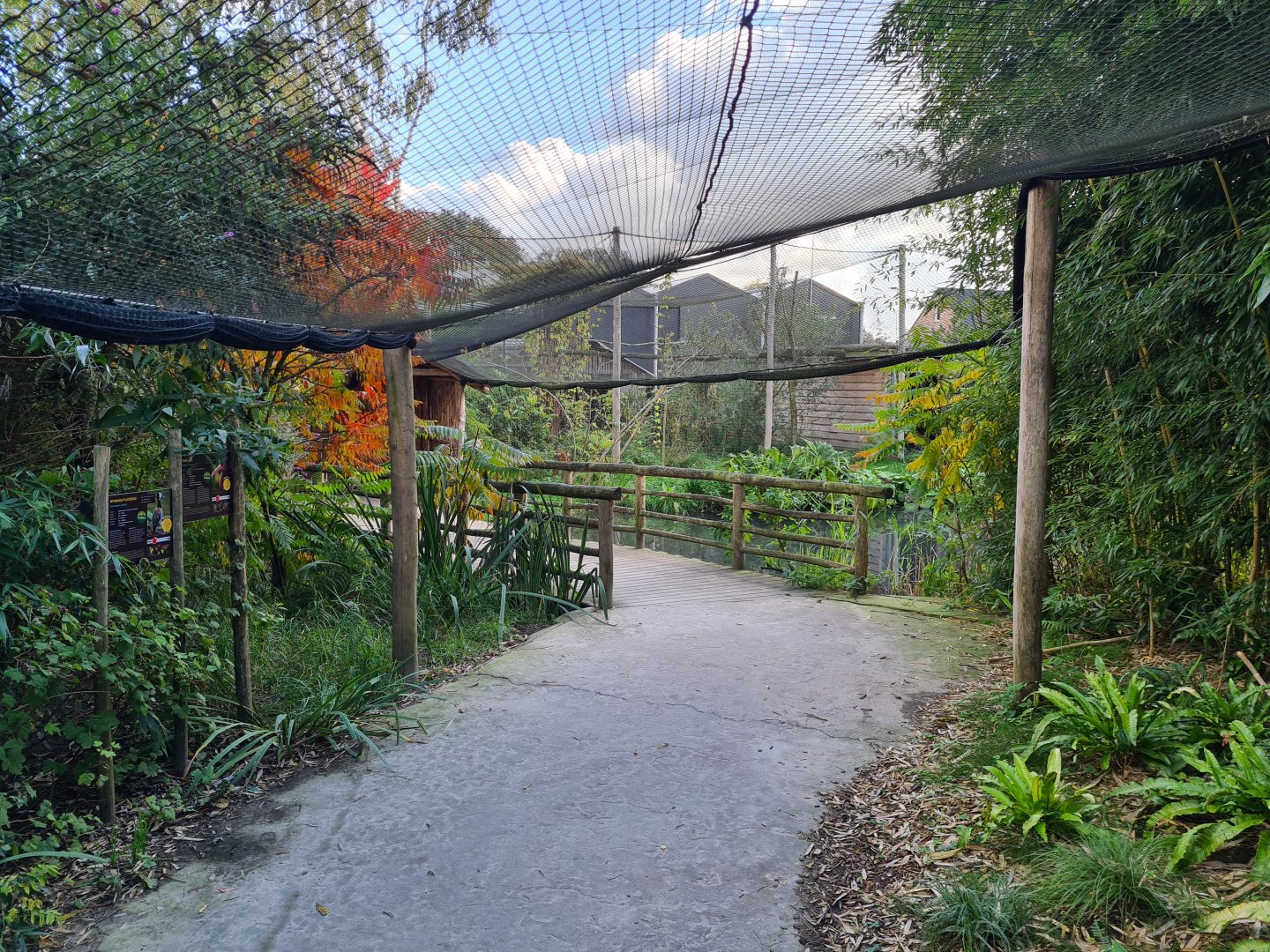 Madidi - Flamingo aviary