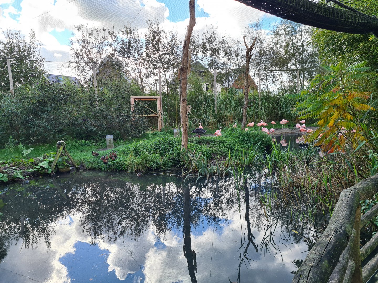 Madidi - Flamingo aviary