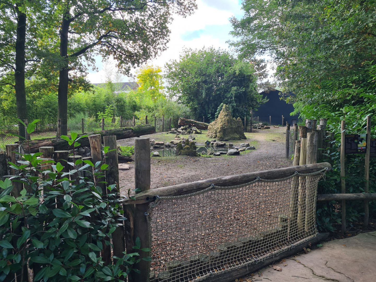 Madidi - Giant anteater and Capybara habitat