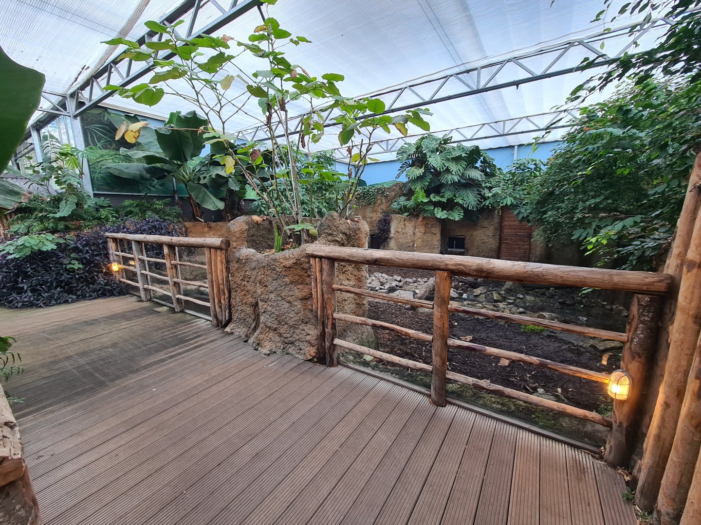 Madidi - Giant anteater and Capybara indoor habitat