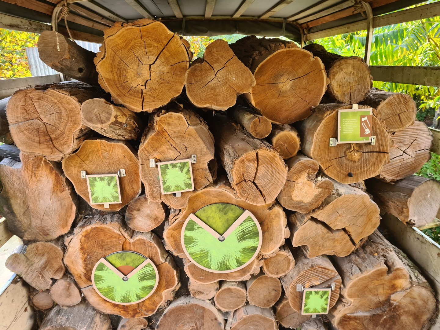 Madidi - Logging educational area