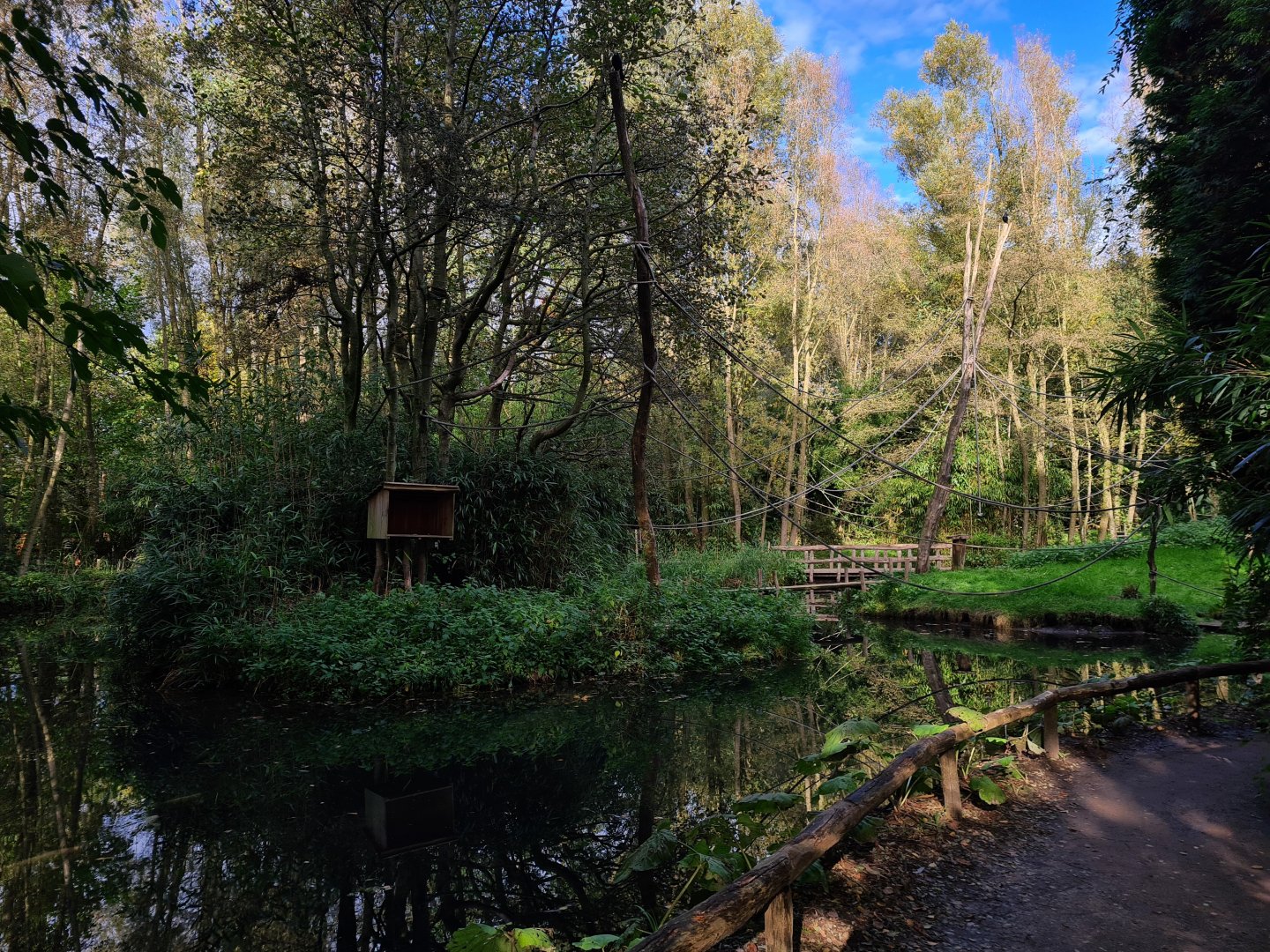 Madidi - Red-faced spider monkey islands