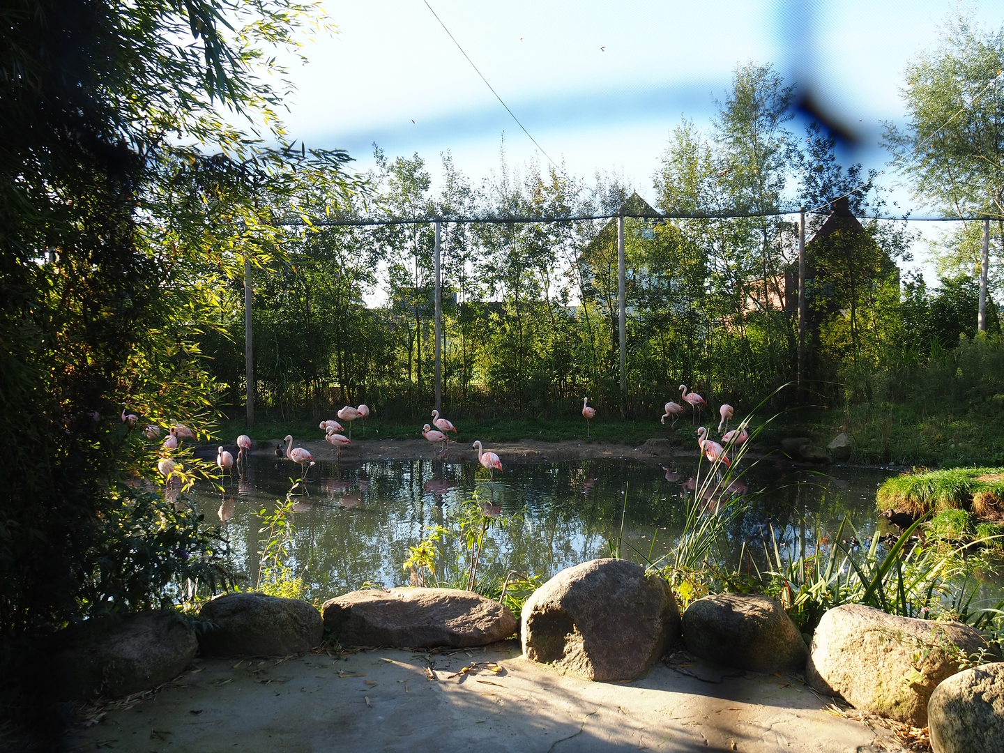 Madidi - South American aviary, 2022-10-09