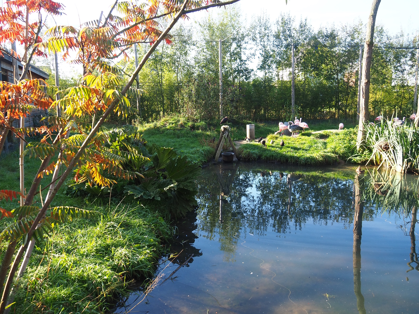 Madidi - South American aviary, 2022-10-09