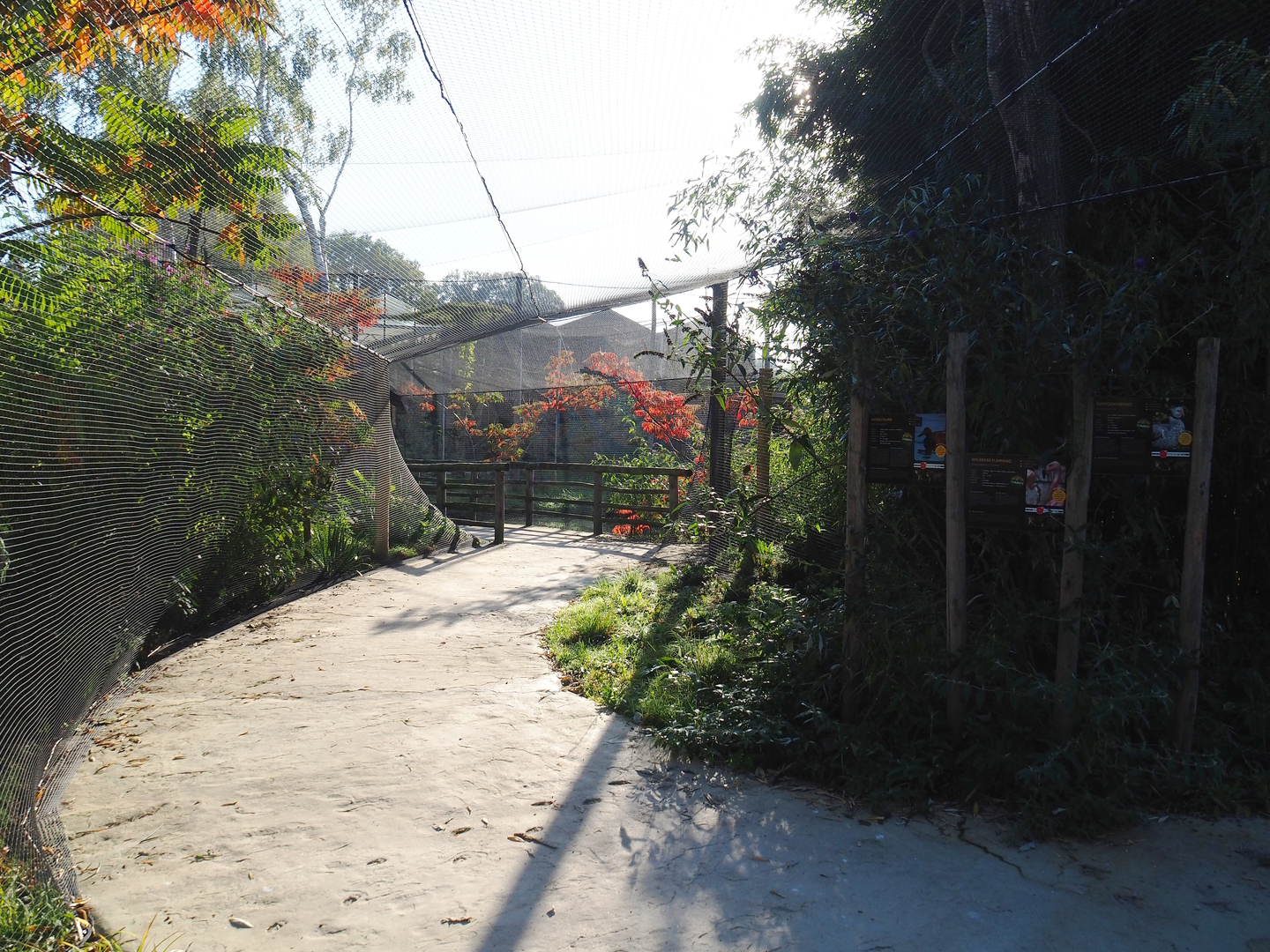 Madidi - South American aviary visitor area, 2022-10-09
