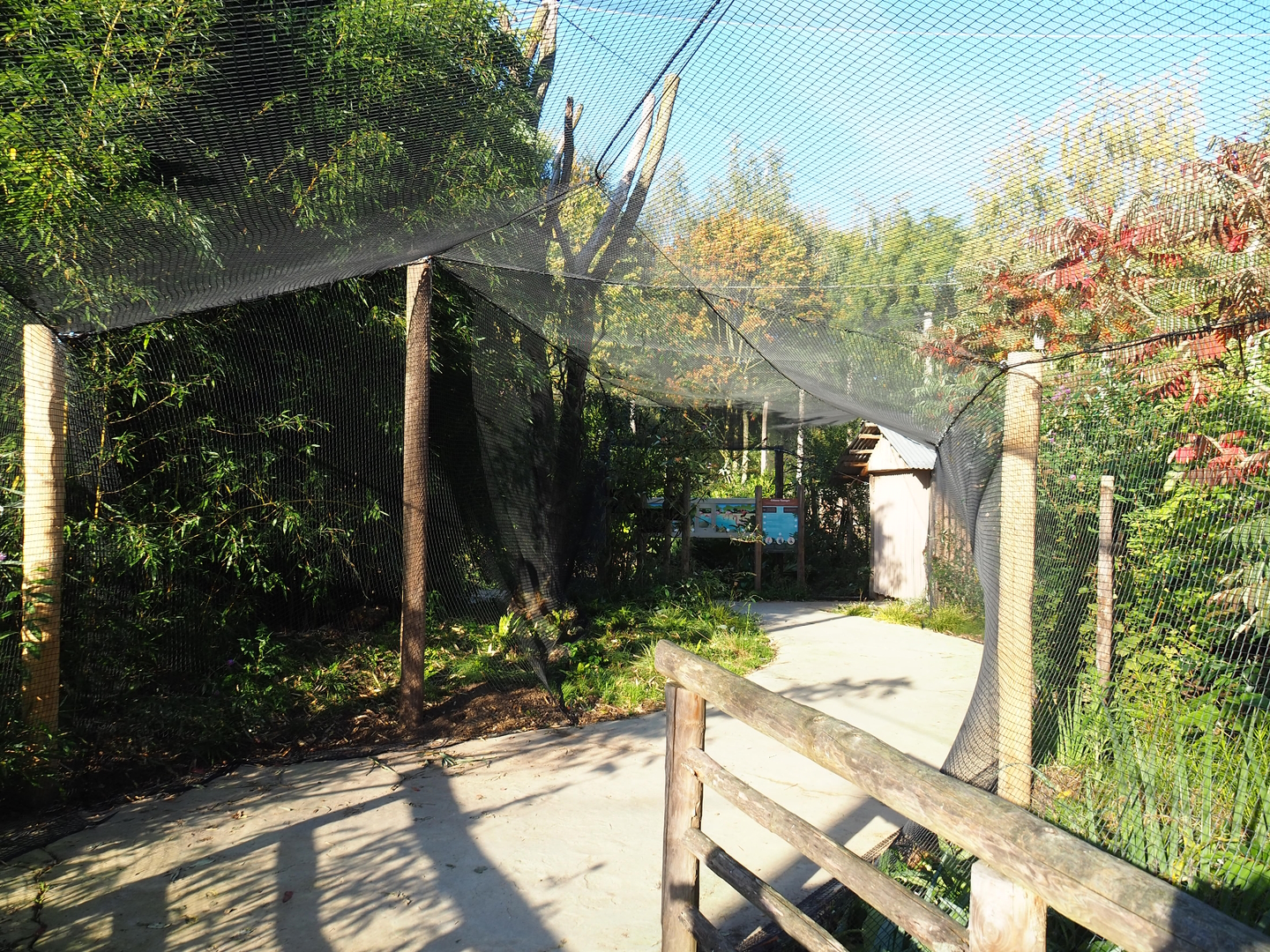 Madidi - South American aviary visitor area, 2022-10-09