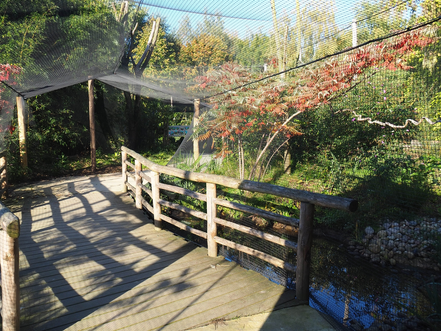 Madidi - South American aviary visitor area, 2022-10-09