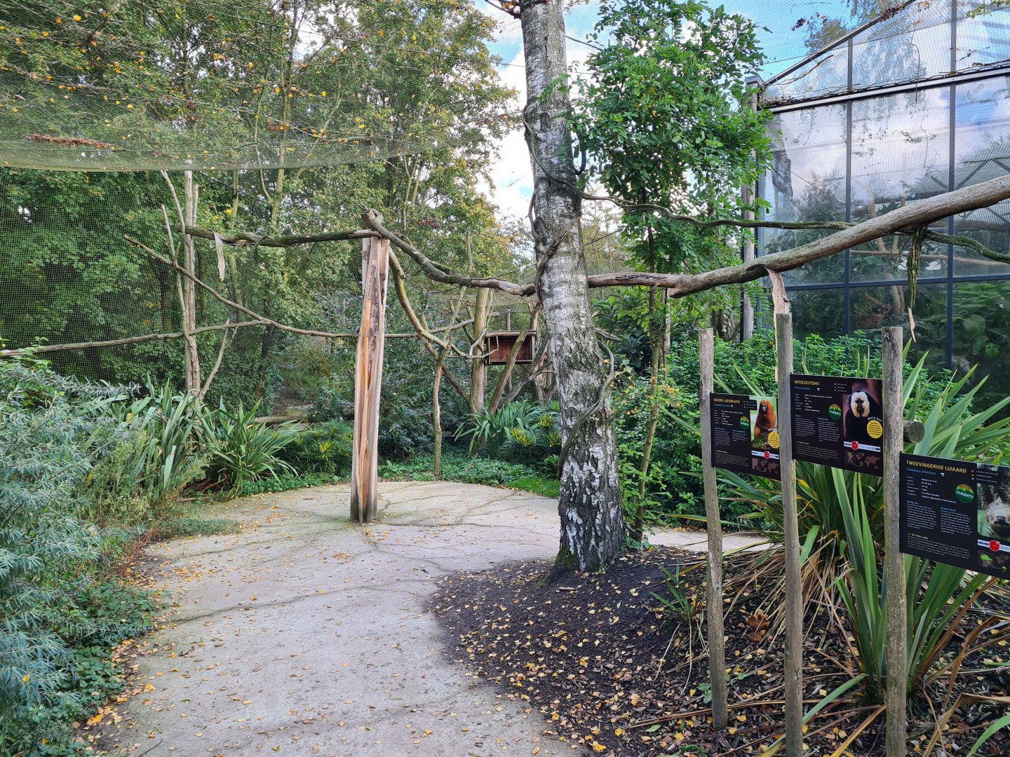 Madidi - South American walkthrough