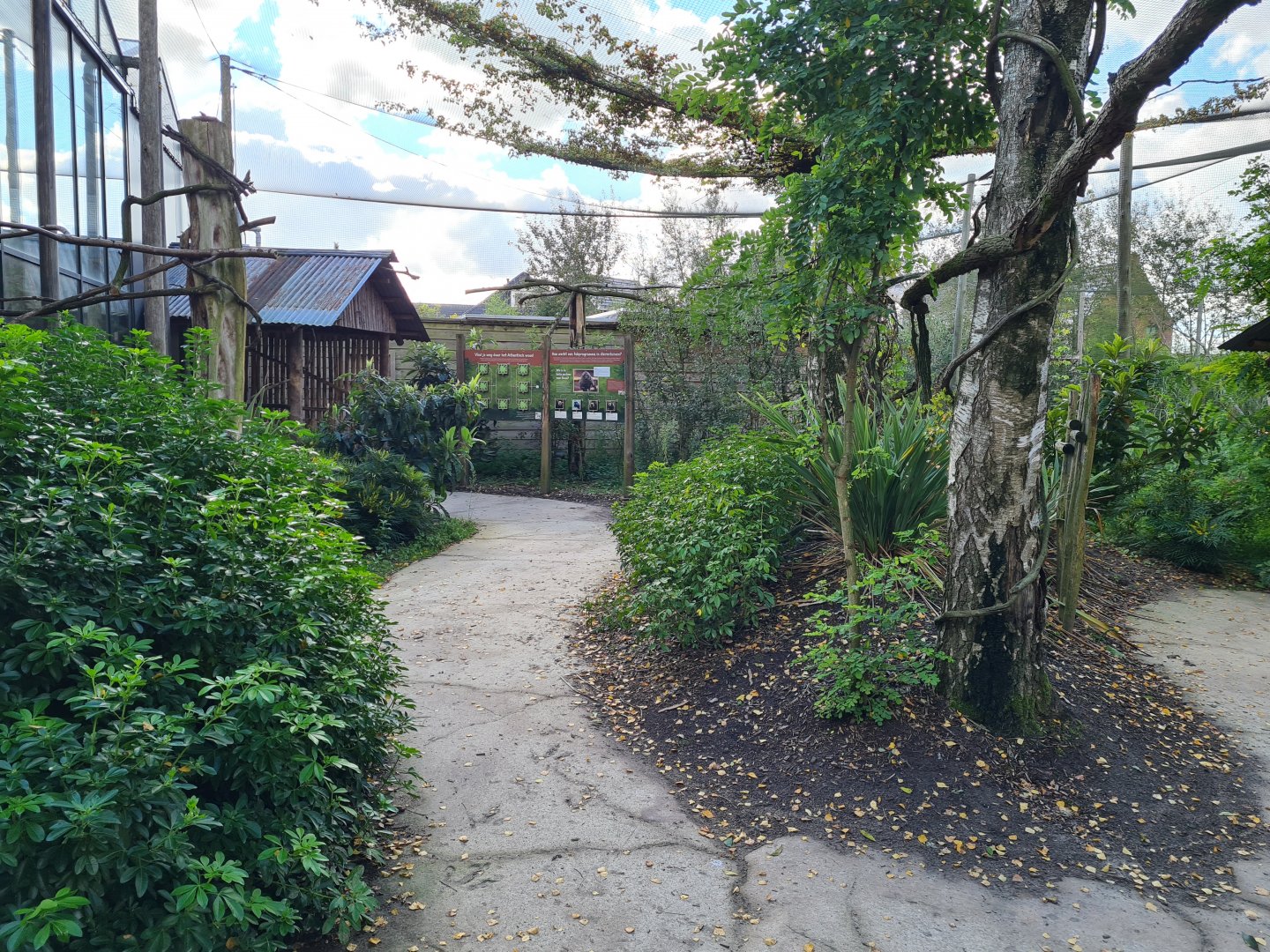 Madidi - South American walkthrough