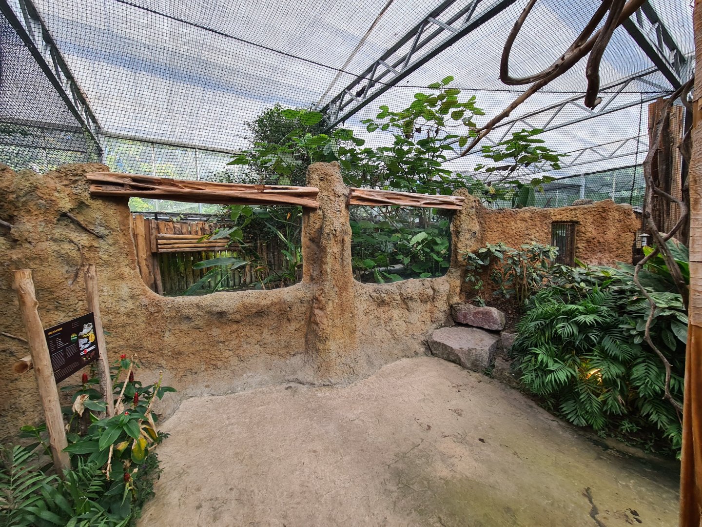 Madidi - Spectacled caiman viewing point