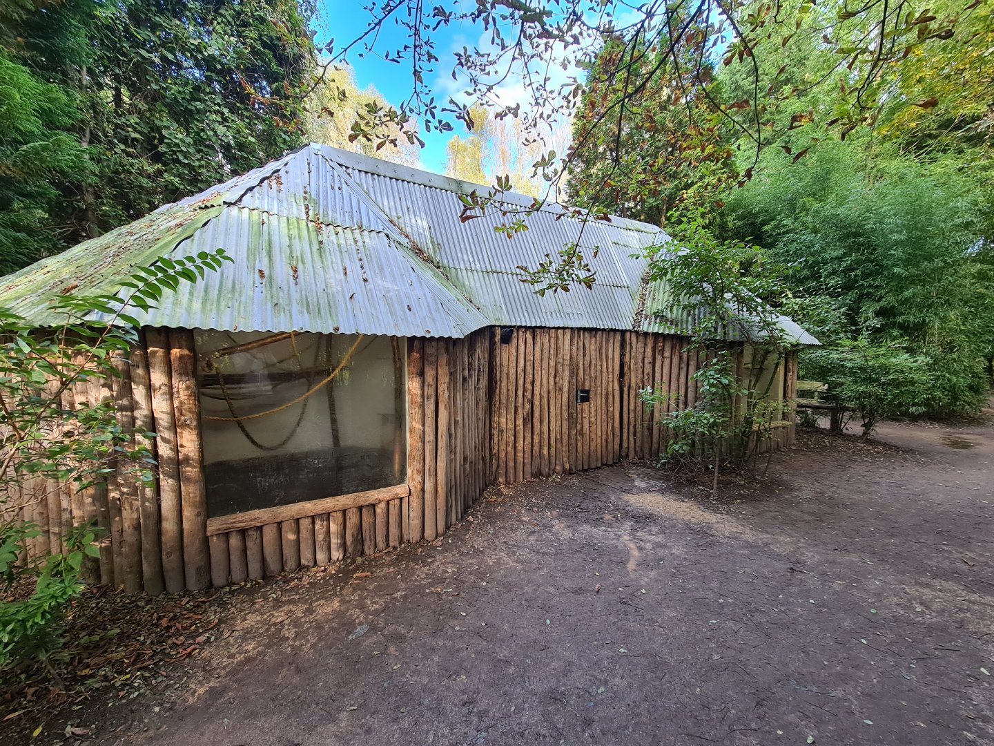 Madidi - Spider monkey indoor habitat