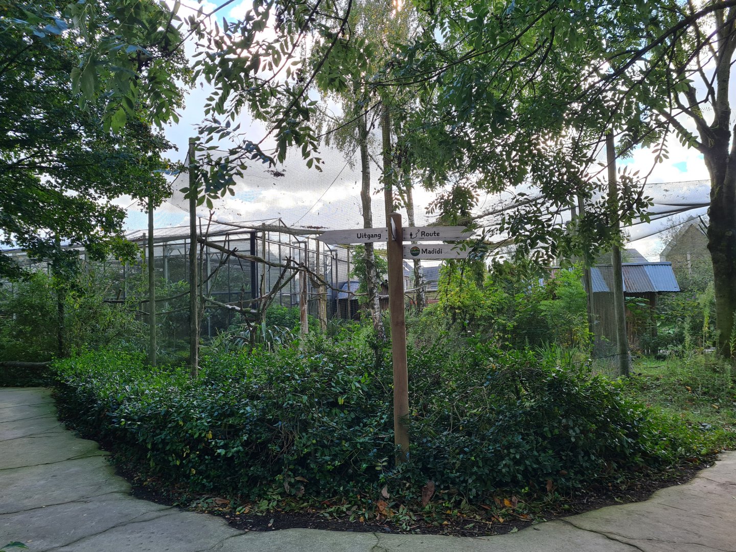 Madidi - Split pathway