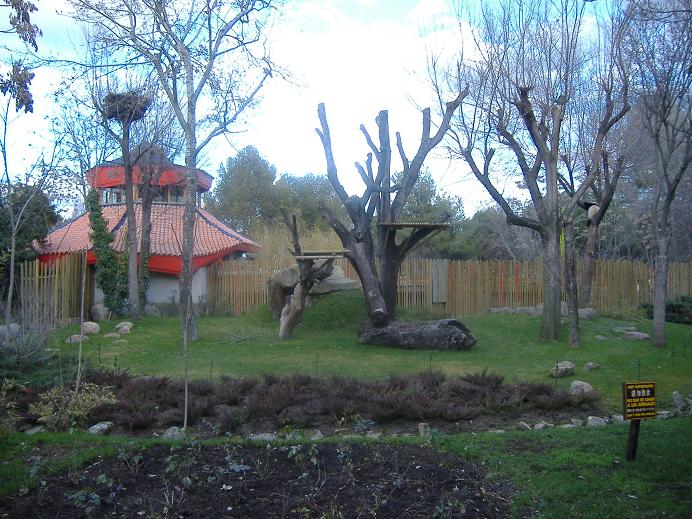 Madrid panda enclosure