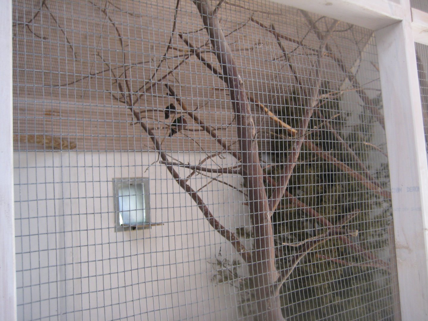 Madsbyparken - Bird house - Example of indoor aviary
