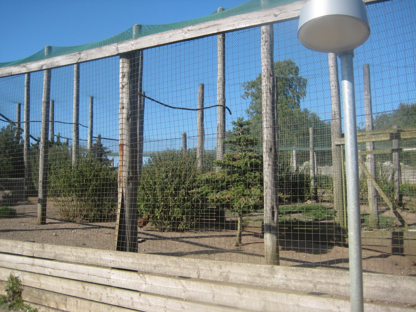 Madsbyparken - Chicken aviary