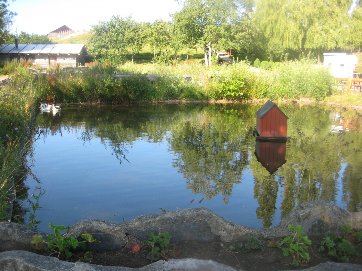 Madsbyparken - Duck pond
