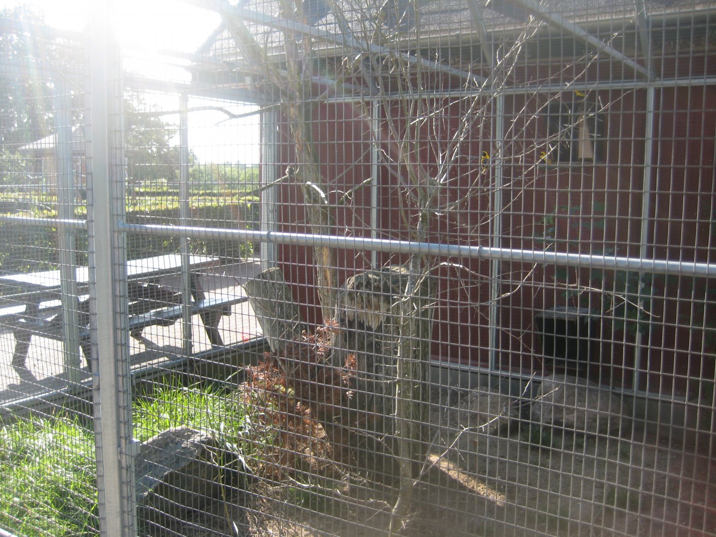 Madsbyparken - Exotic bird aviary #1