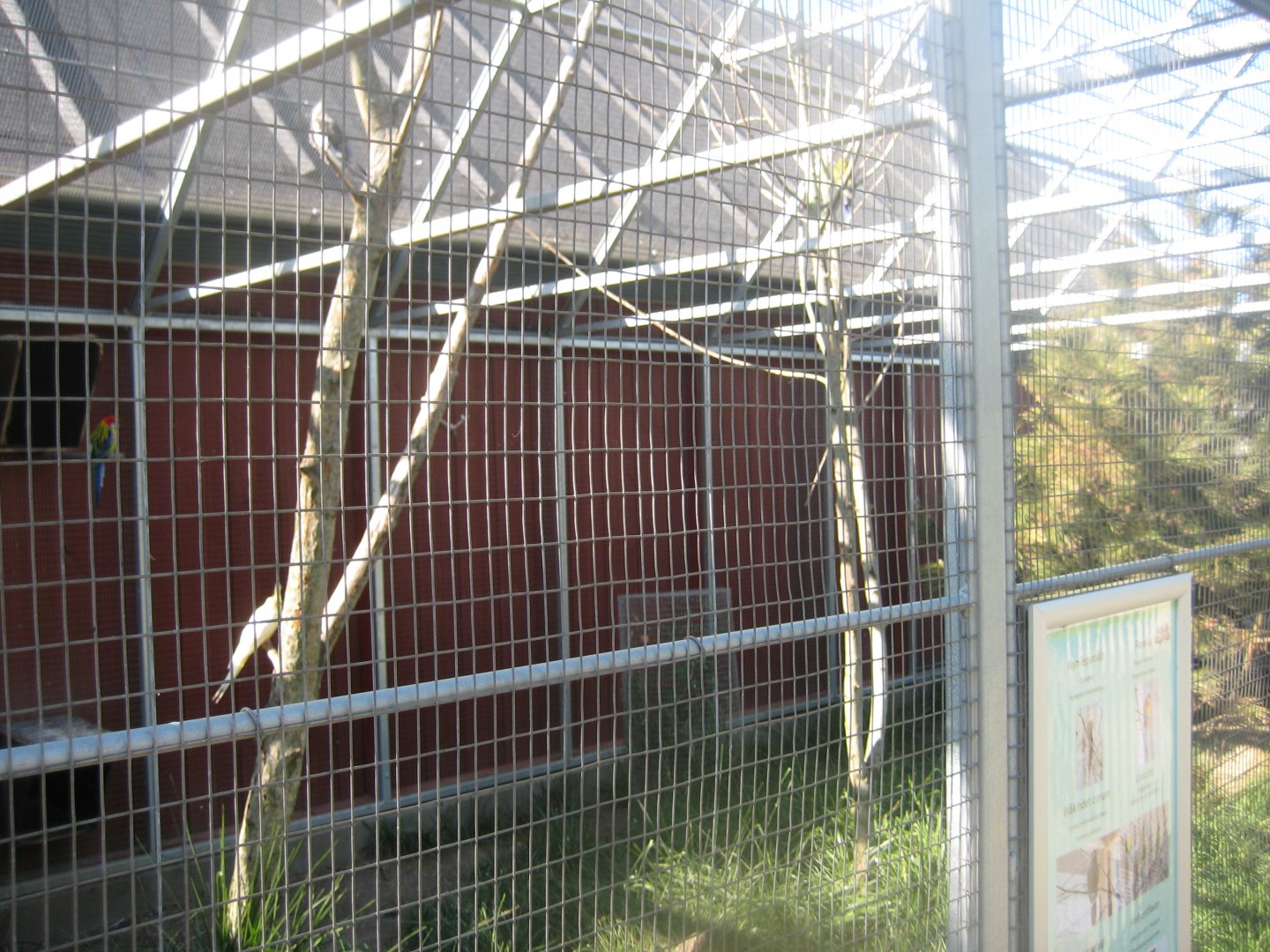 Madsbyparken - Exotic bird aviary #3