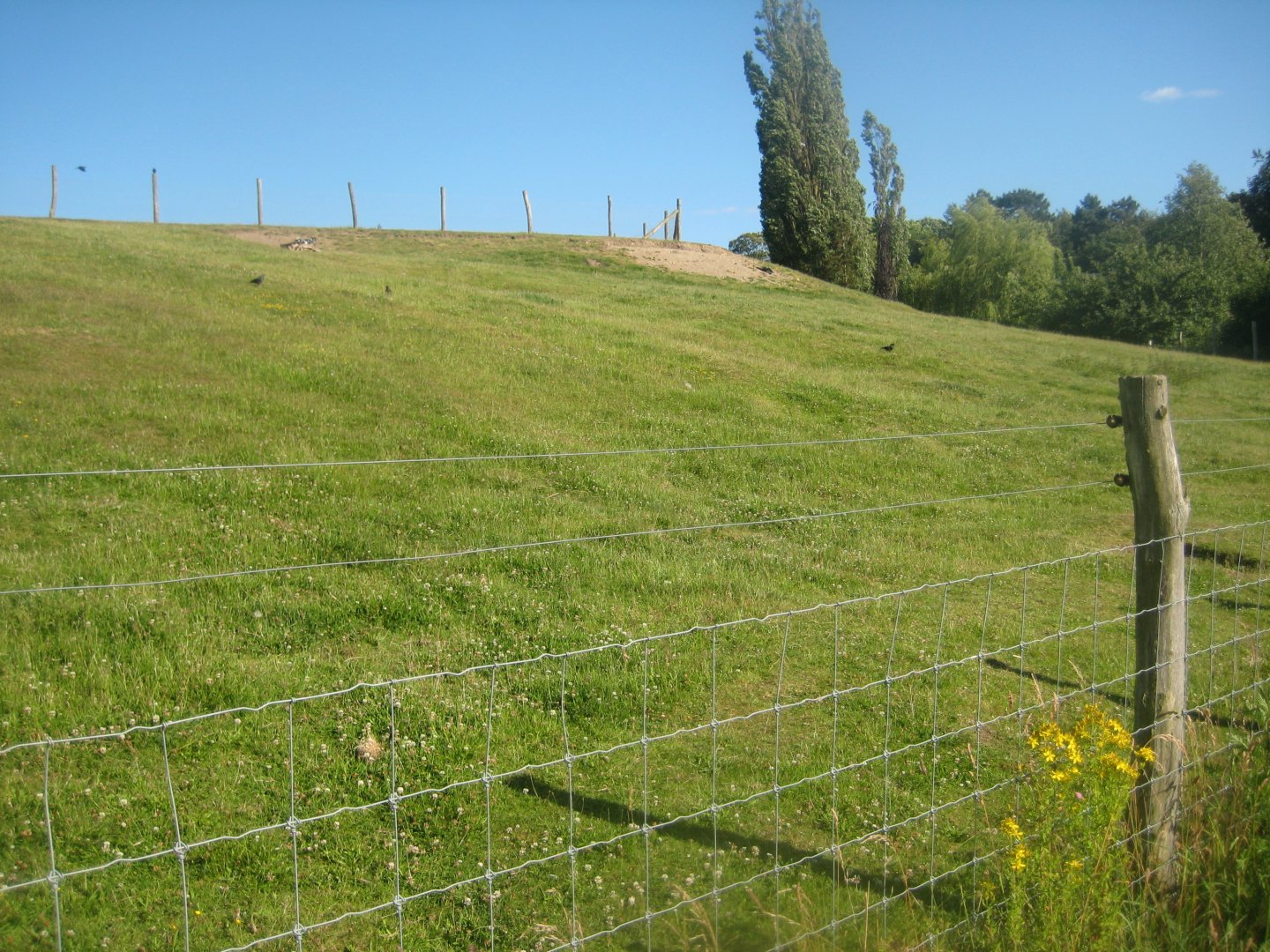 Madsbyparken - Goat exhibit