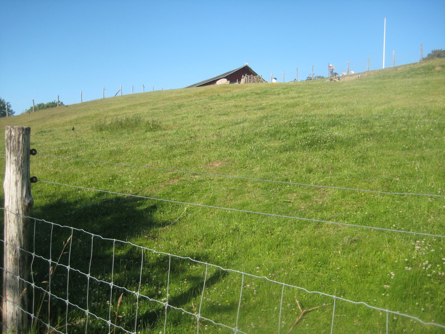 Madsbyparken - Goat exhibit