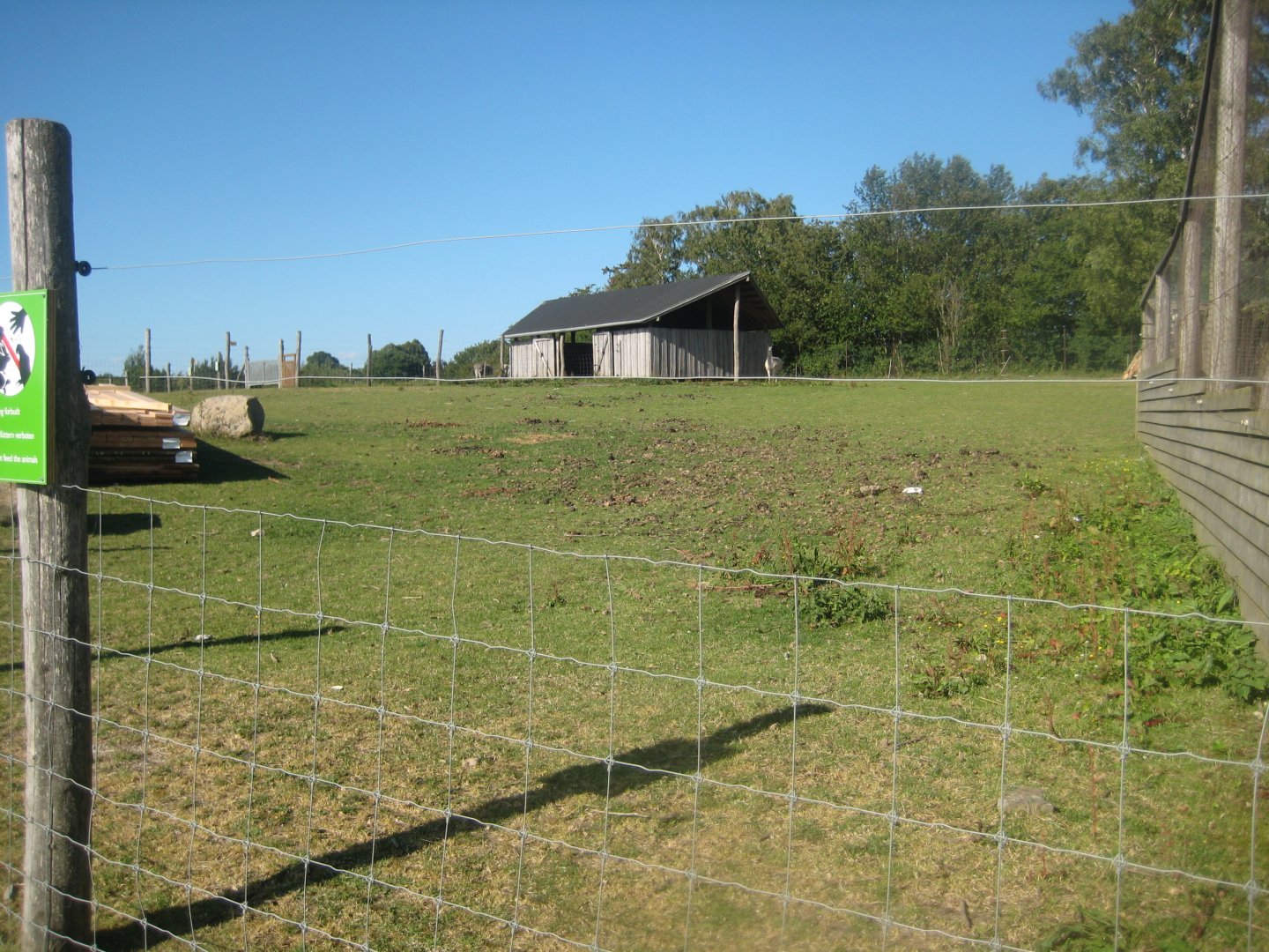Madsbyparken - Llama exhibit