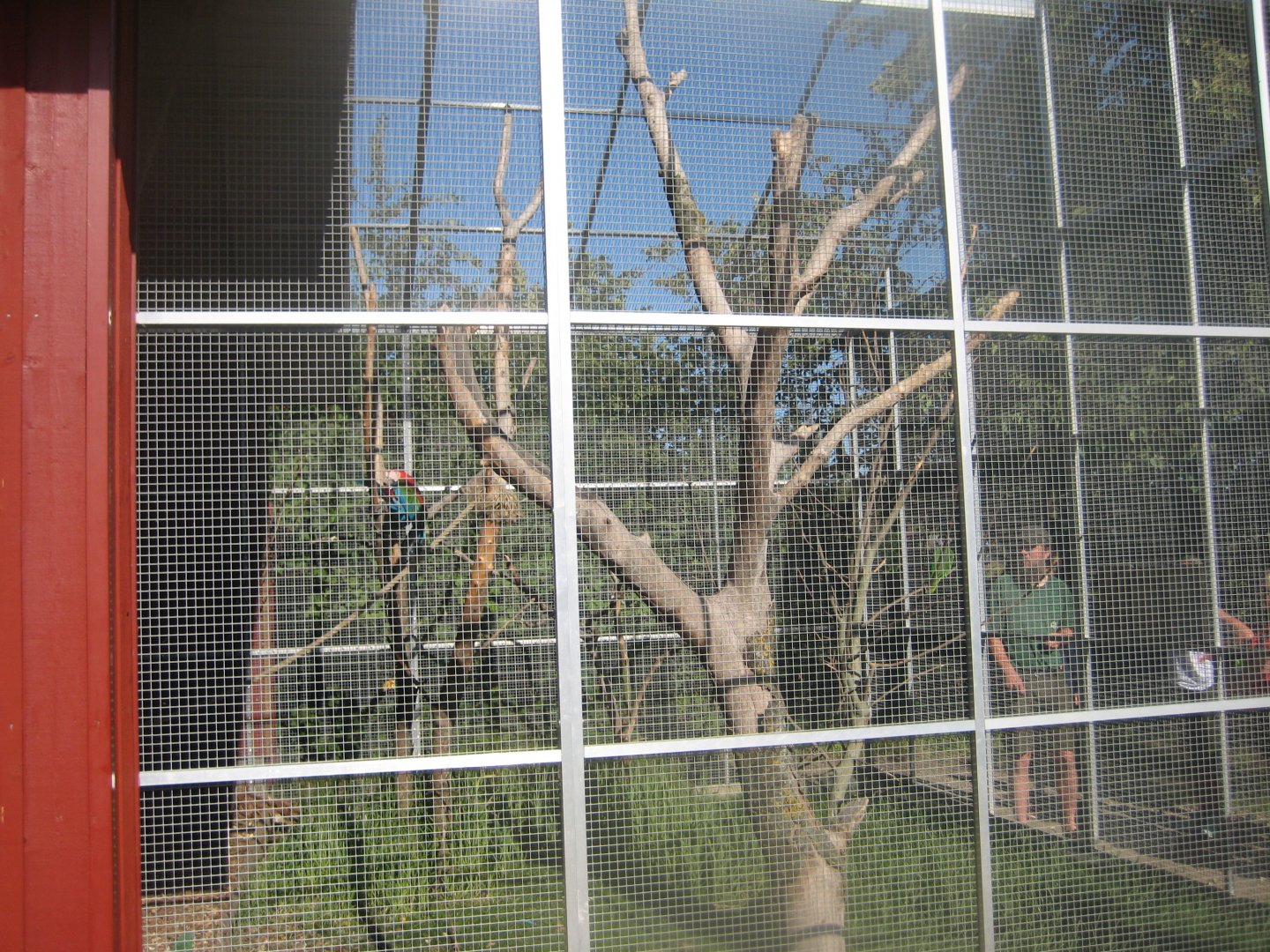 Madsbyparken - Macaw aviary