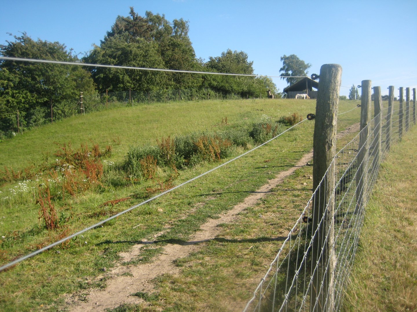 Madsbyparken - Mixed farm exhibit