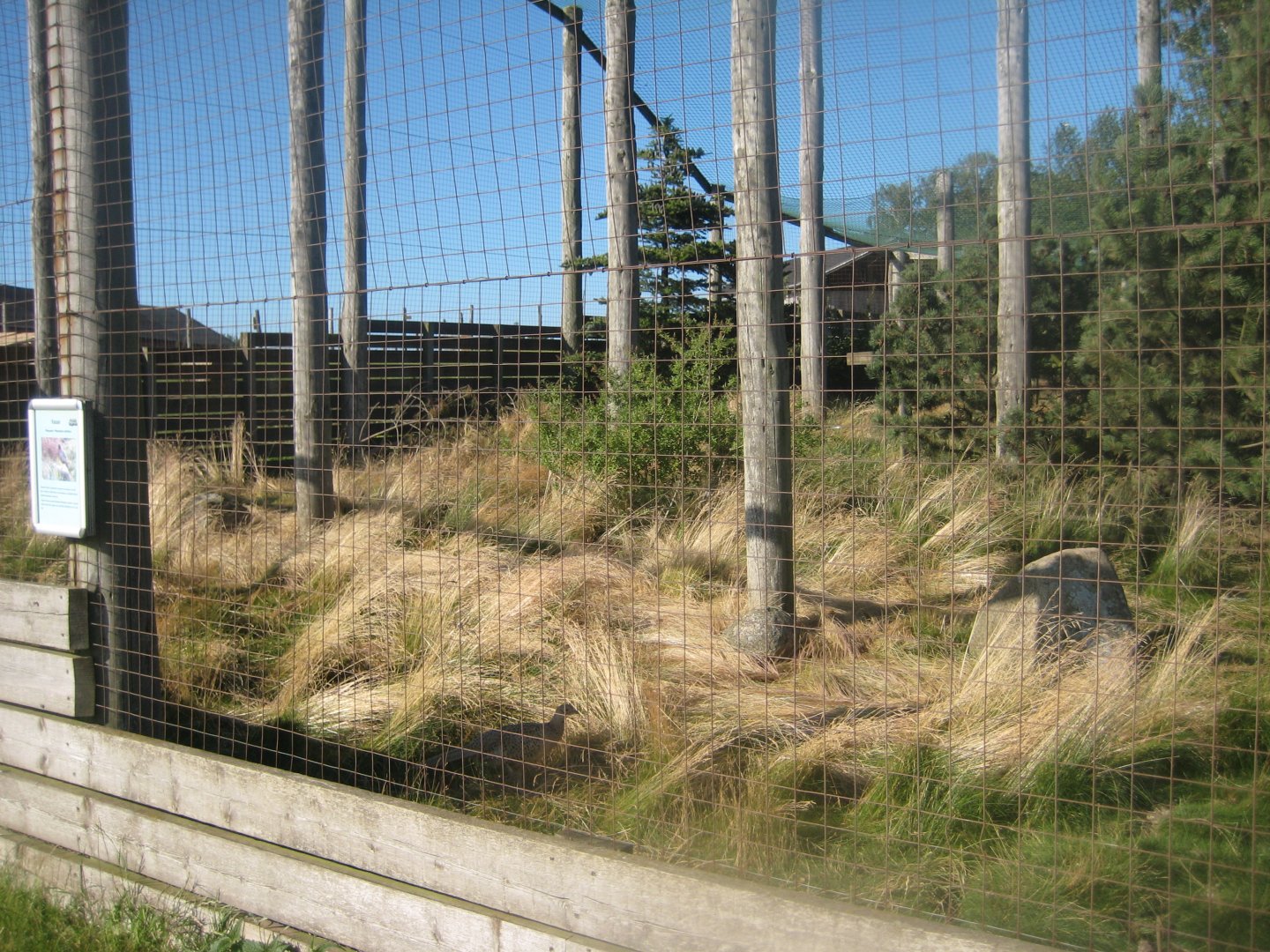 Madsbyparken - Pheasant aviary