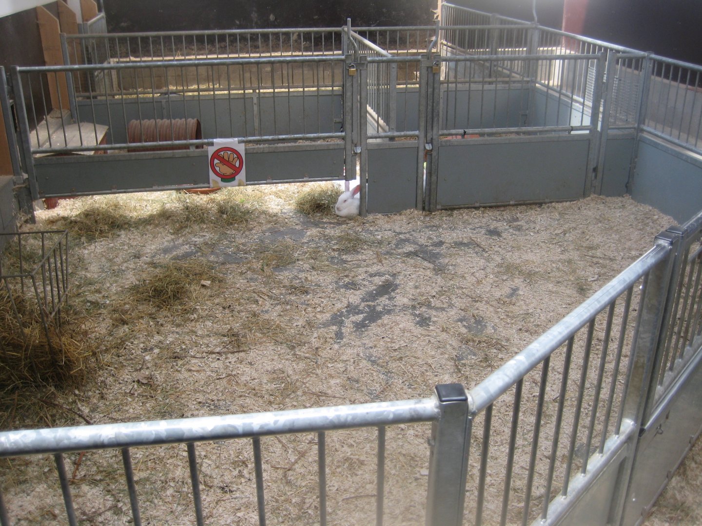Madsbyparken - Stable building - Rabbit exhibit #1