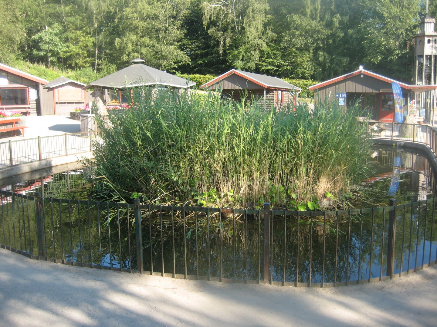Madsbyparken - Turtle pond