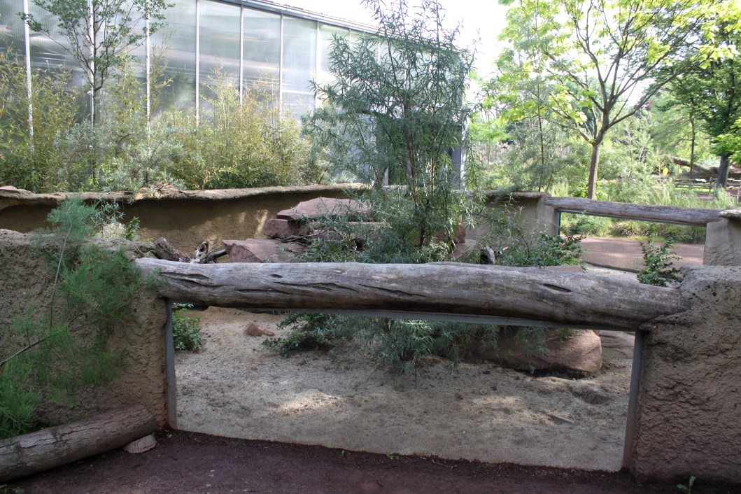 Magdeburg Zoo - Africambo (Mongoose/cape squirrel)