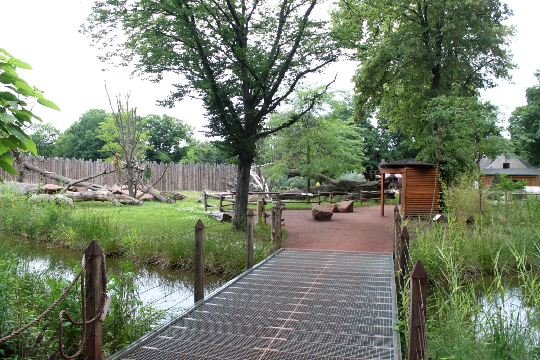 Magdeburg Zoo - Africambo (Rhino/colobus)