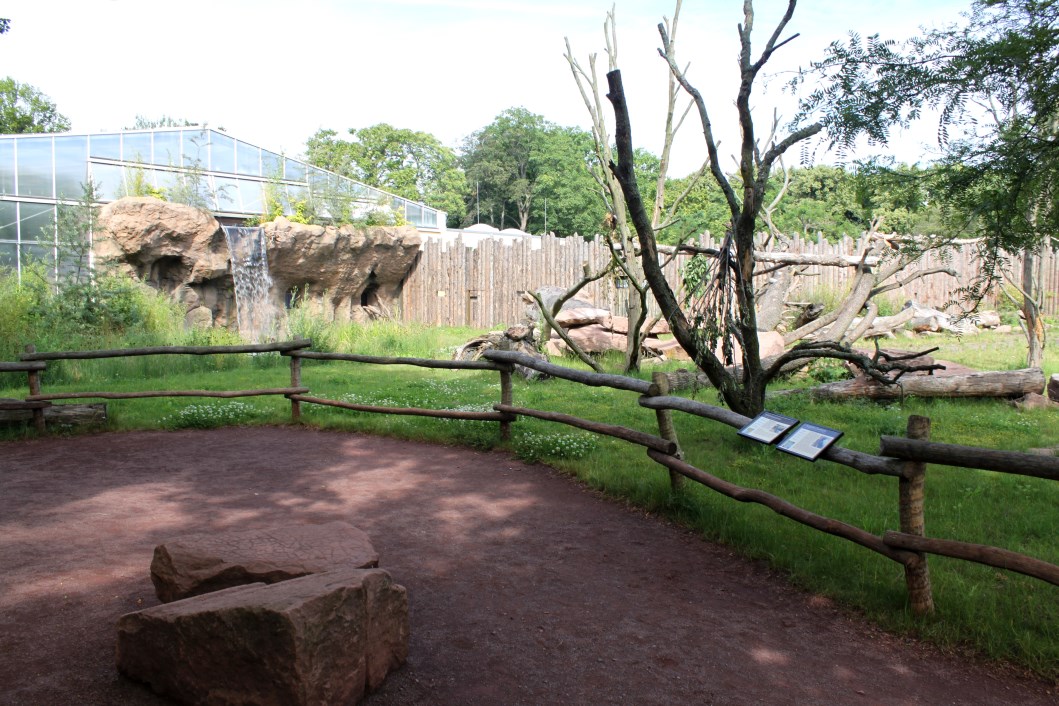 Magdeburg Zoo - Africambo (Rhino/colobus)