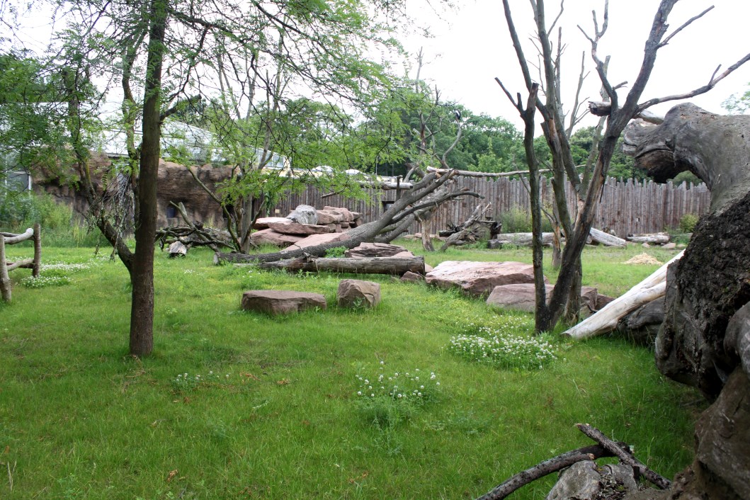 Magdeburg Zoo - Africambo (Rhino/colobus)