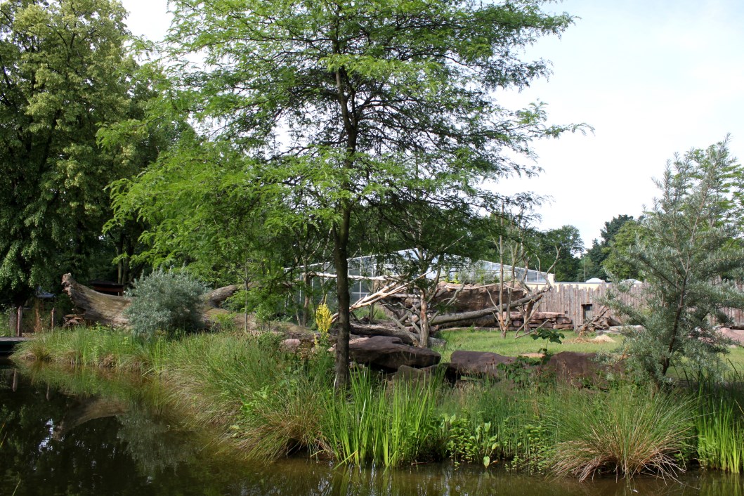Magdeburg Zoo - Africambo (Rhino/colobus)