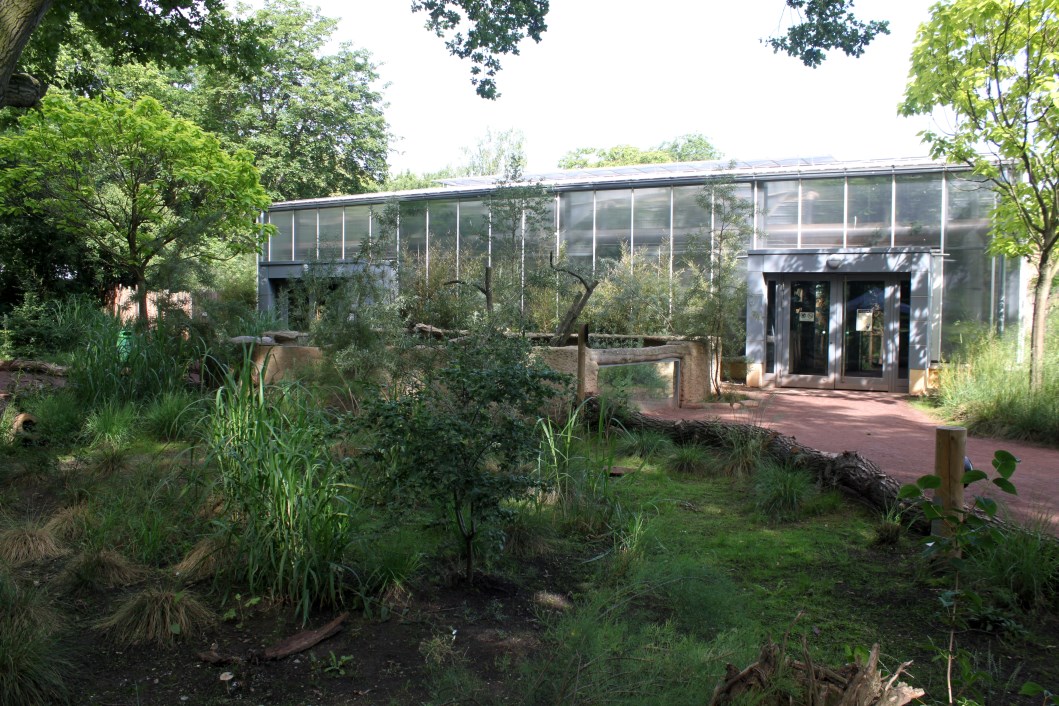 Magdeburg Zoo - Africambo (Rhino House)