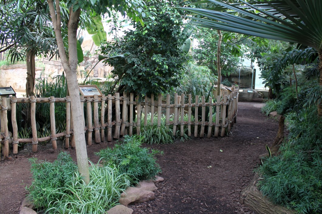 Magdeburg Zoo - Africambo (Rhino House)